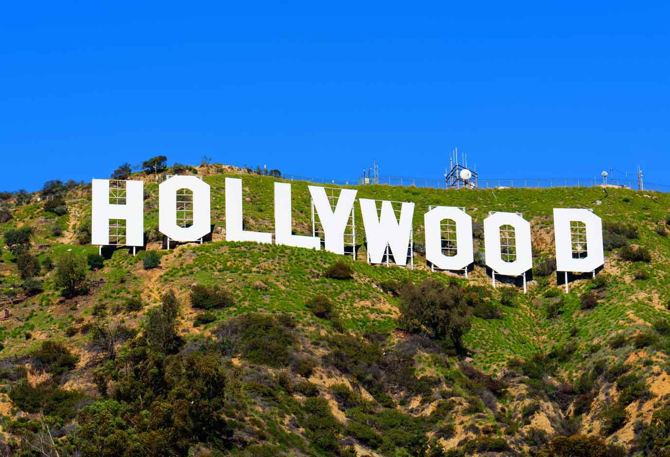 Verticals of Hollywood